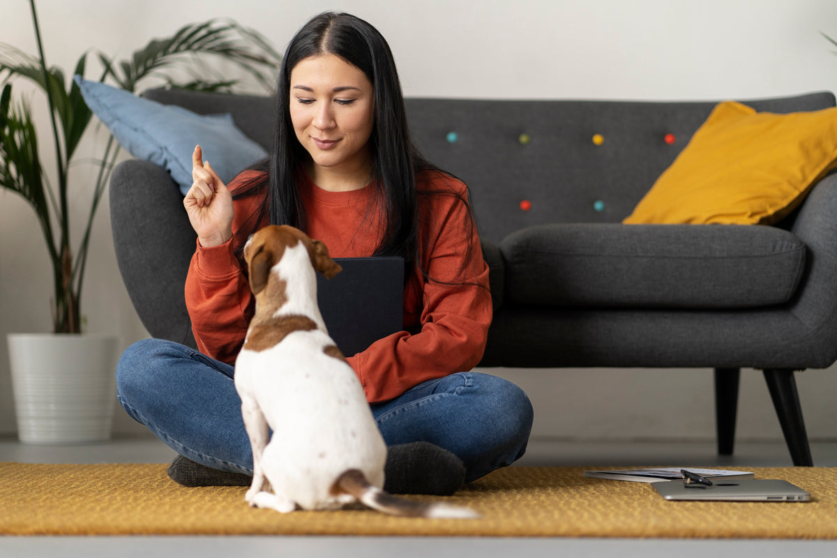 Pet Necessities