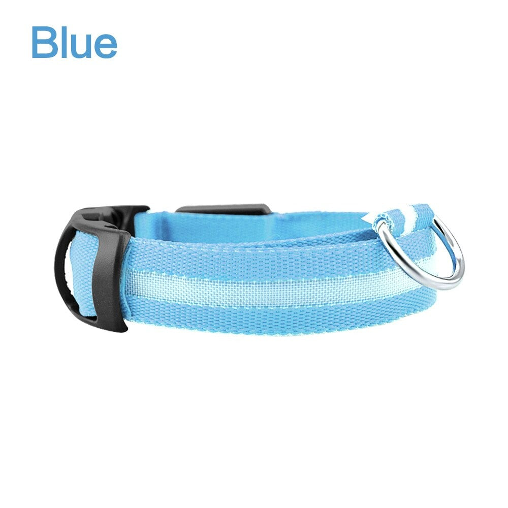 LED Dog Safety Collar – Night Glow